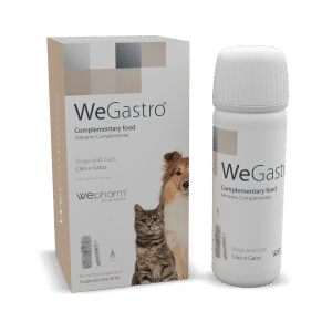 WeGastro Oral Suspension - 60 ml