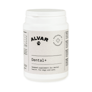 Alvar Pet Dental+ Kosttillskott för hund och katt 150 g