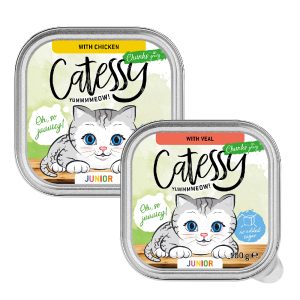 Catessy Junior bitar i sås i mixpack med 2 sorter - 32 x 100 g