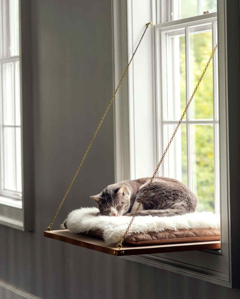 kattbädd fönster