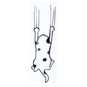 TIAKI bildekal "Scratching Cat" - B 16 x H 5 cm