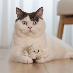 Beeztees Eco Cat Nome Bläckfisk