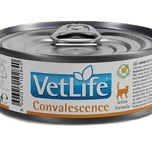 Cat Vet Life ND Convalescence 85 g - Katt - Kattfoder & kattmat - Veterinärfoder för katt - Farmina - ZOO.se