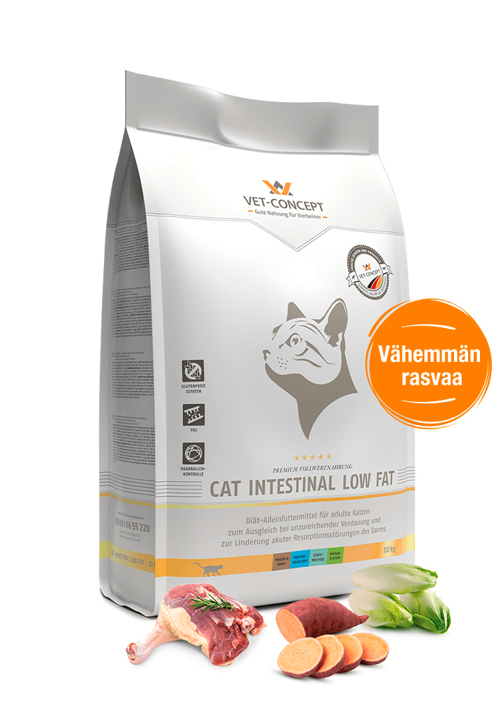 Vet Concept Cat Intestinal Low Fat 400 g för katter