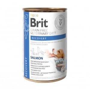 Brit Recovery Salmon Hund & Katt 6 x400 g