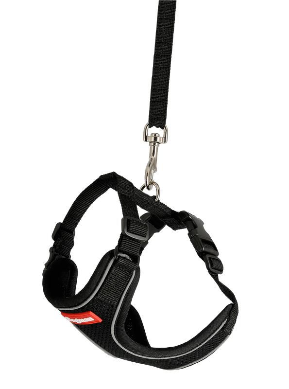 Air Mesh Set För Katt Svart M