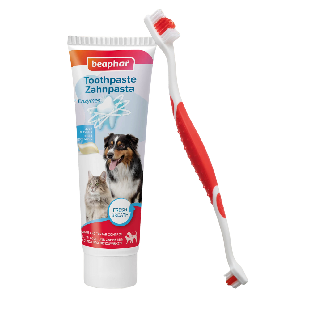 beaphar tandvårdsset - Tandkräm & tandborste (100 g)