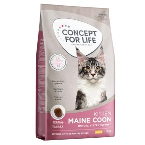 Concept for Life Maine Coon Kitten – förbättrad sammansättning! - Nytt: Ekonomipack 2 x 10 kg