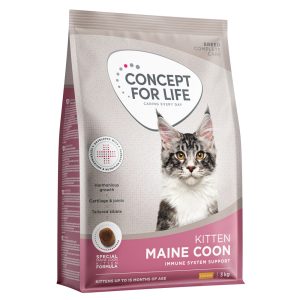 Concept for Life Maine Coon Kitten – förbättrad sammansättning! - Nytt: 3 kg