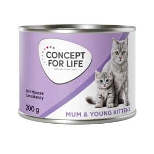 Concept for Life Mum & Young Kittens Mousse - NY: Ekonomipack 24 x 200 g