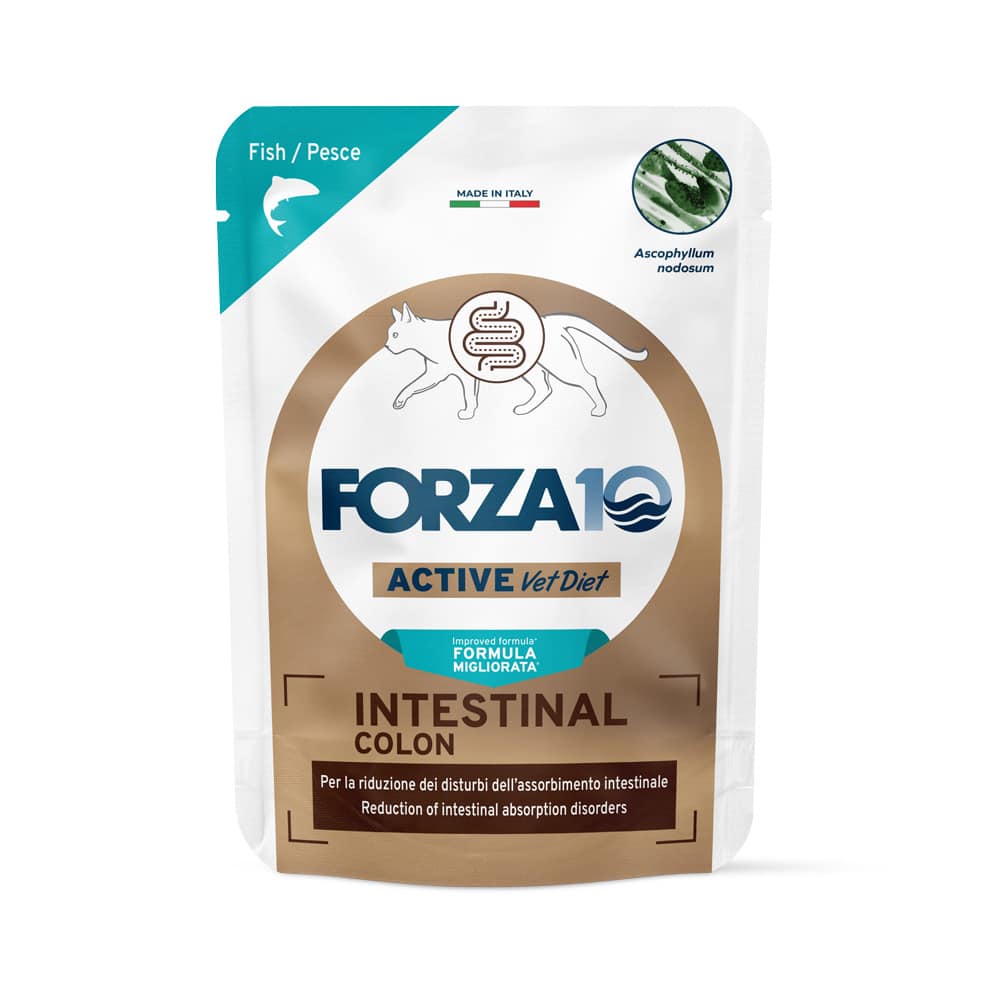 Forza 10 Intestinal Colon Active Vet Diet för katter 12 x 80 g - Vitfisk