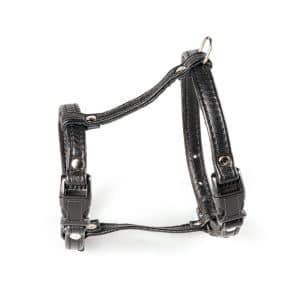 Feel Leather Meow Kattsele i Läder