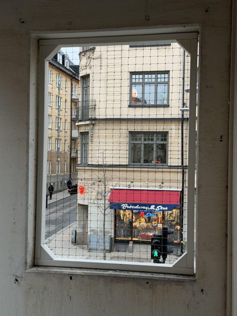 Lilla kattnätet på sidan av balkongen
