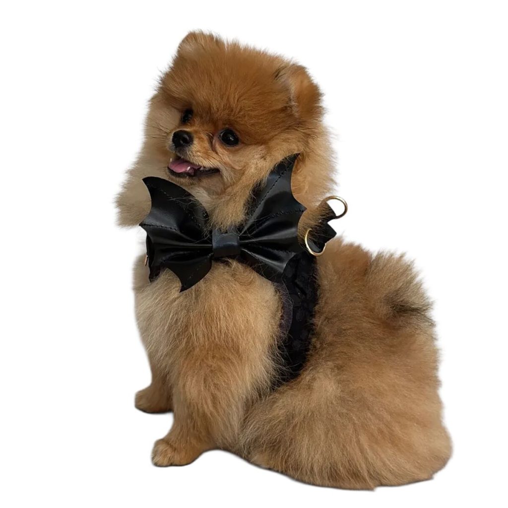Trufois Halloween Fluga till Hund & Katt Fladdermus