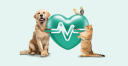 Vetapet.com